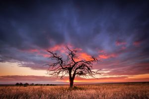 Shutterstock 158809034 Shutterstock 158809034